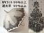 日傘:HIRO INTERNATIONAL STORE