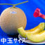 メロン:しずおか夢工房