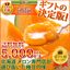 メロン:富良野グルメ工房【とみたメロン】