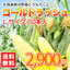 とうもろこし:北海道グルメ アフター楽天市場店