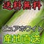 とうもろこし:あさひやまストアー
