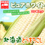 とうもろこし:道産ネットミツハシ 北海道グルメ