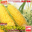 とうもろこし:道産ネットミツハシ　北海道グルメ