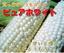 とうもろこし:フードリンク北海道楽天市場店