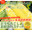 とうもろこし:フードリンク北海道楽天市場店