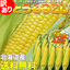 とうもろこし:フーズランド北海道