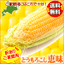 とうもろこし:ギフト＆グルメ北海道