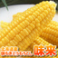 とうもろこし:いいもの屋　北海道の贈り物サイト