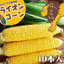 とうもろこし:北海道グルメ通販　かに太郎