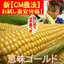 とうもろこし:北海道 旬鮮本舗