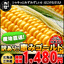 とうもろこし:おいしい北海道「小樽きたいち」