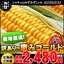とうもろこし:おいしい北海道「小樽きたいち」
