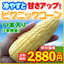 とうもろこし:お取り寄せグルメ産直食卓