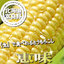 とうもろこし:スイートベジタブルファクトリー
