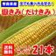 とうもろこし:ためのぶストア楽天市場店