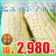 とうもろこし:北海道マルシェ