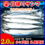 サンマ:【北海道】かに問屋 札幌蟹販