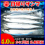 サンマ:【北海道】かに問屋 札幌蟹販