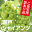 ブドウ:JSHOP 楽天市場店