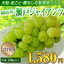 ブドウ:築地からの直送便